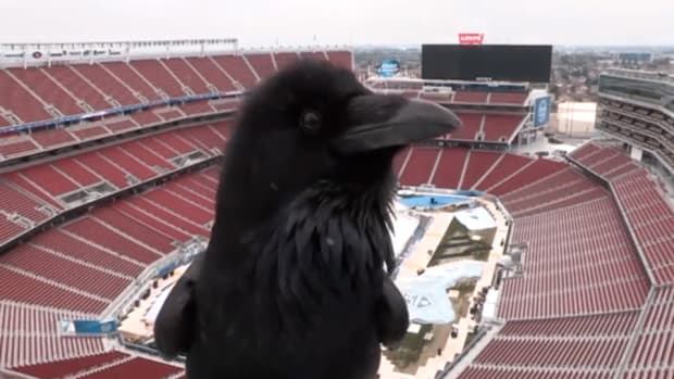 Crow_StadiumSeries_NHL_Camera_960.jpg
